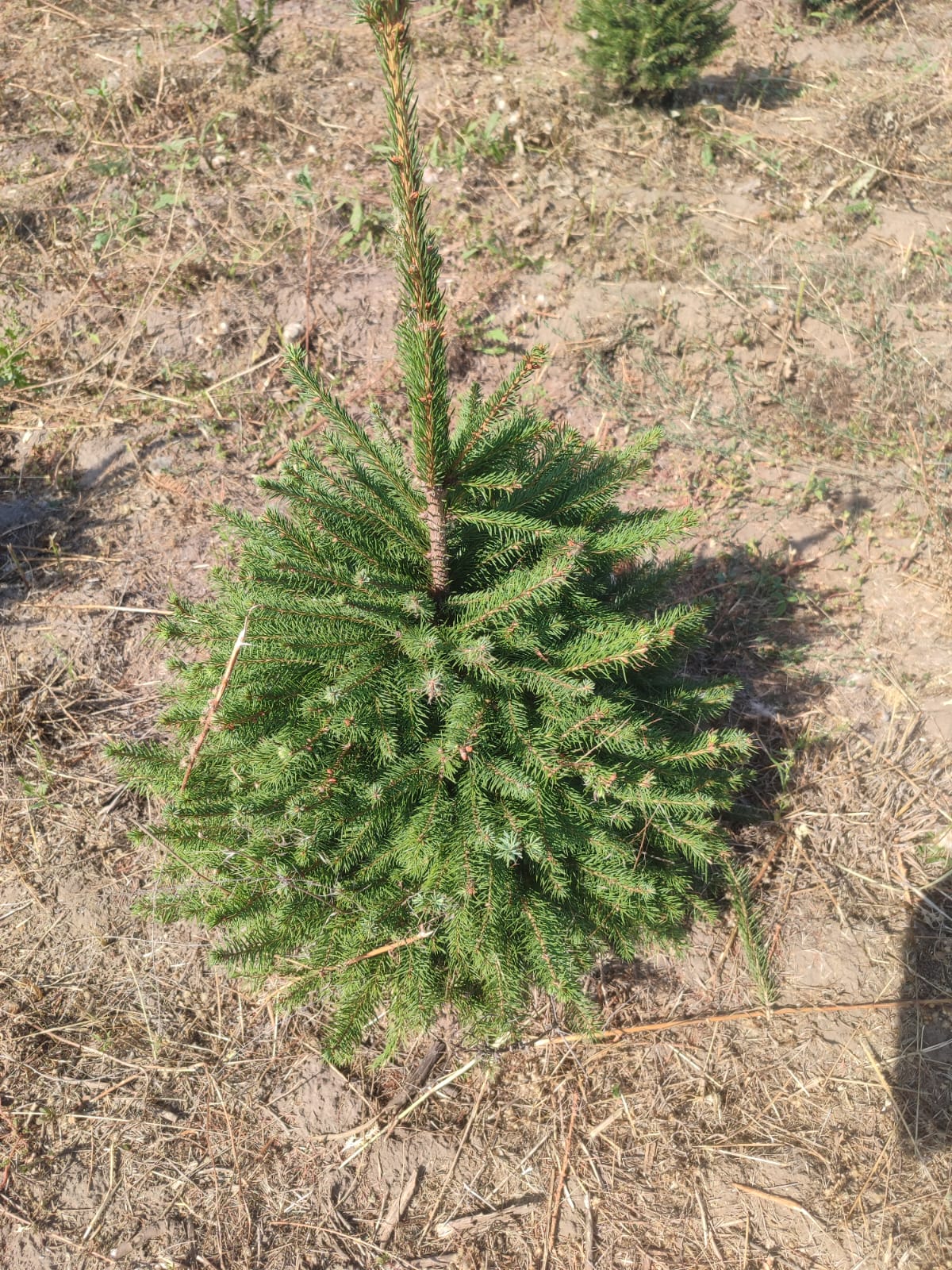 311cc354-e342-4fc1-a3ad-d170587688e9