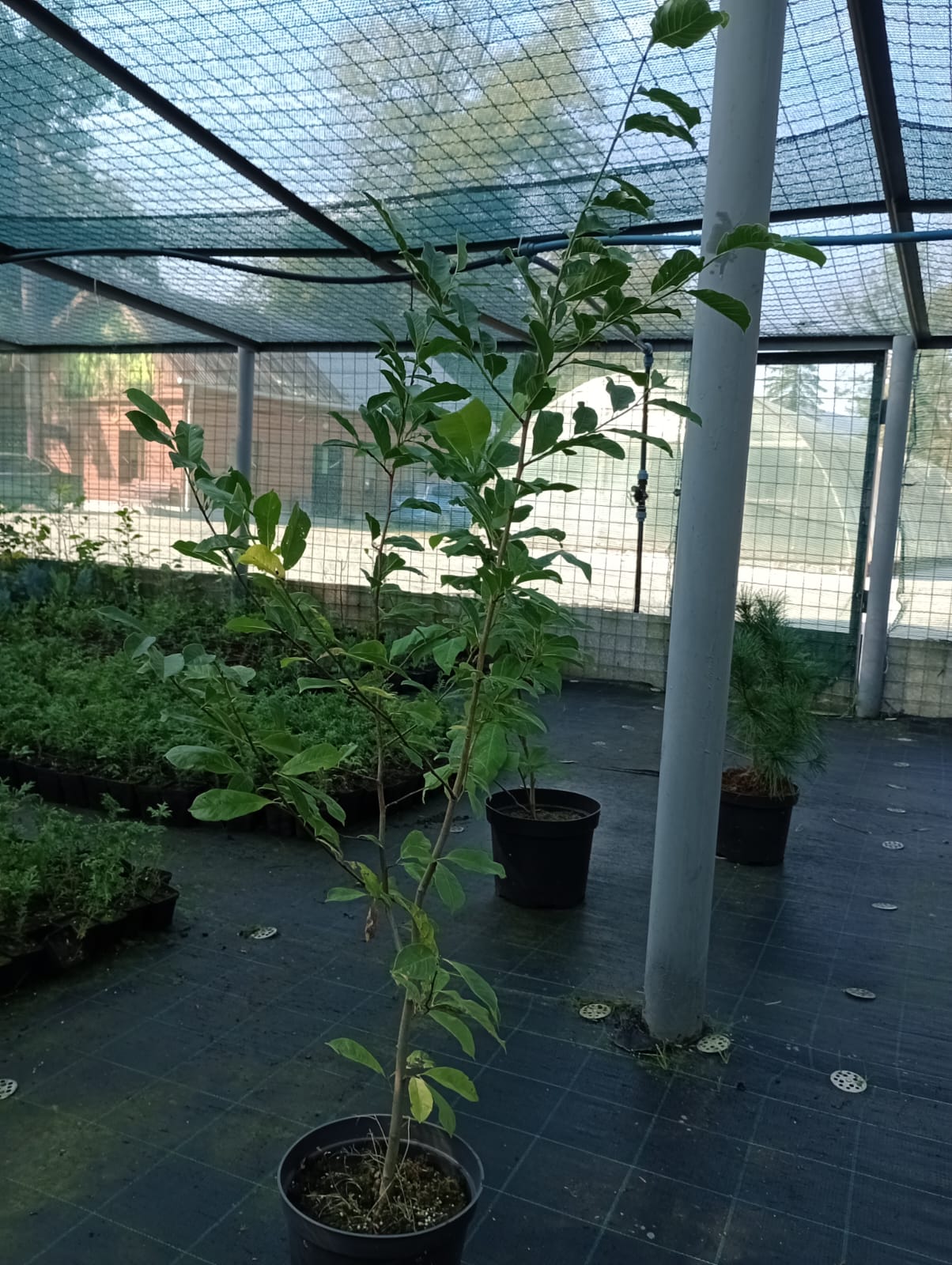 32e70d2c-ca8f-4c00-b495-16943bf96b24