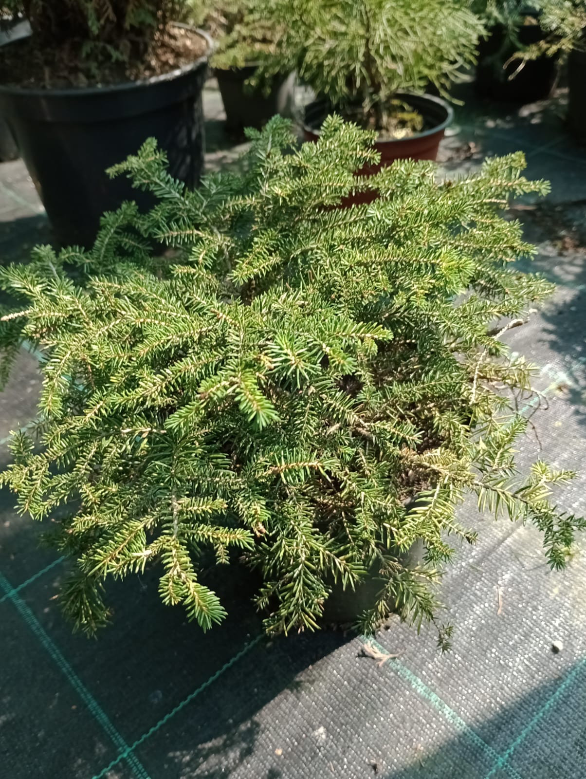 37edbebc-8cc6-4112-9212-1417e64aeb54