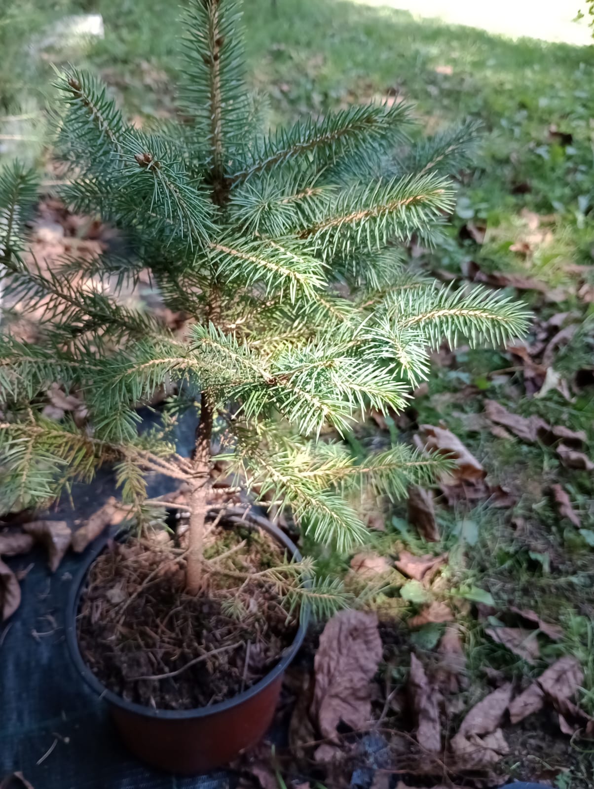 3e348d6d-cd0e-43c8-b8c9-d2280f1a3cc8