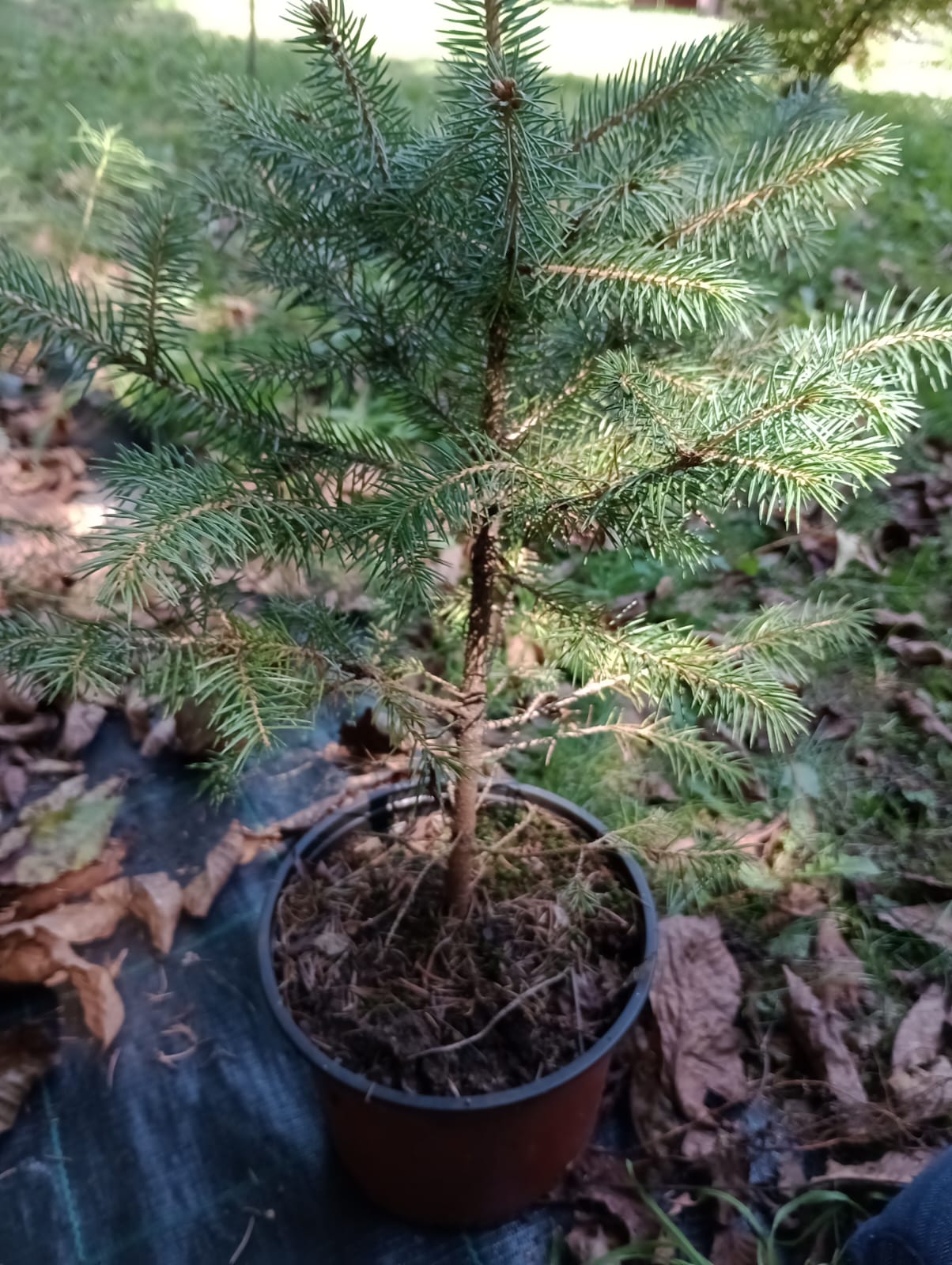 54a24726-6e7d-4eeb-83f3-7ac0aeede3a2