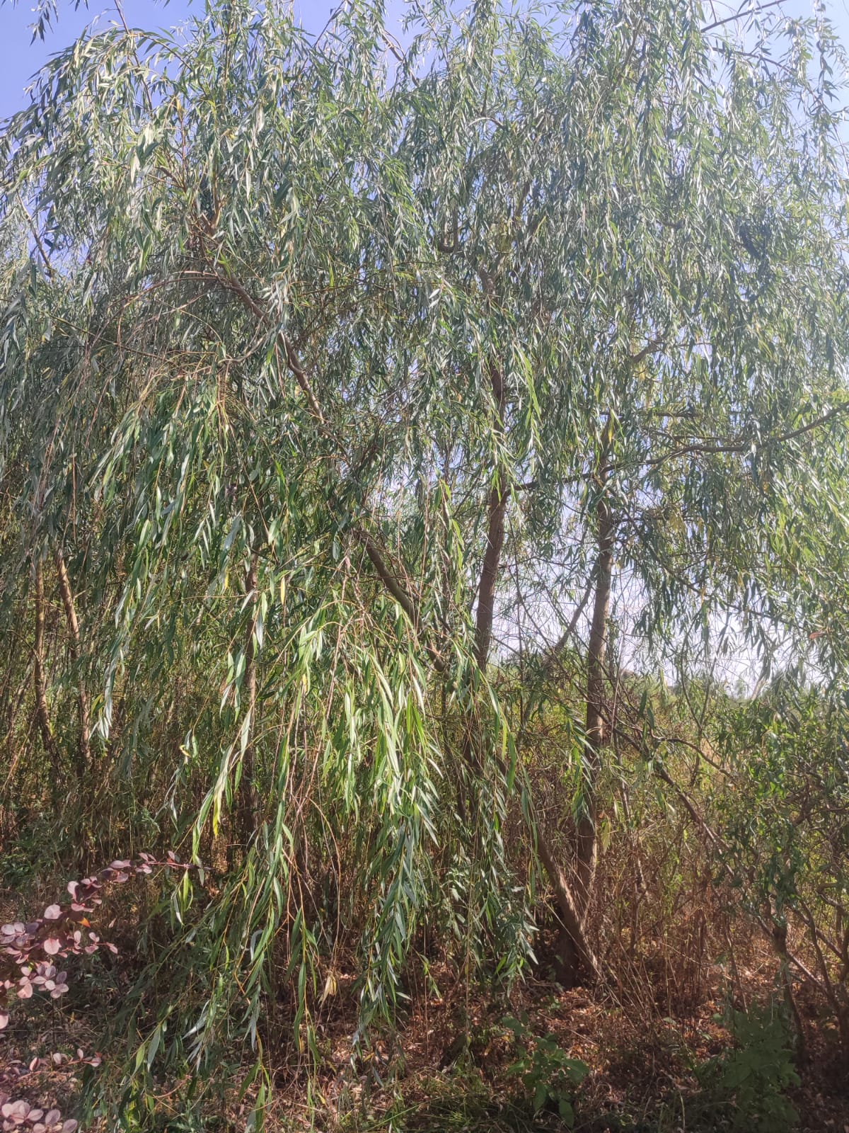 7fd8a8ec-0763-4f76-b509-90378c822ced