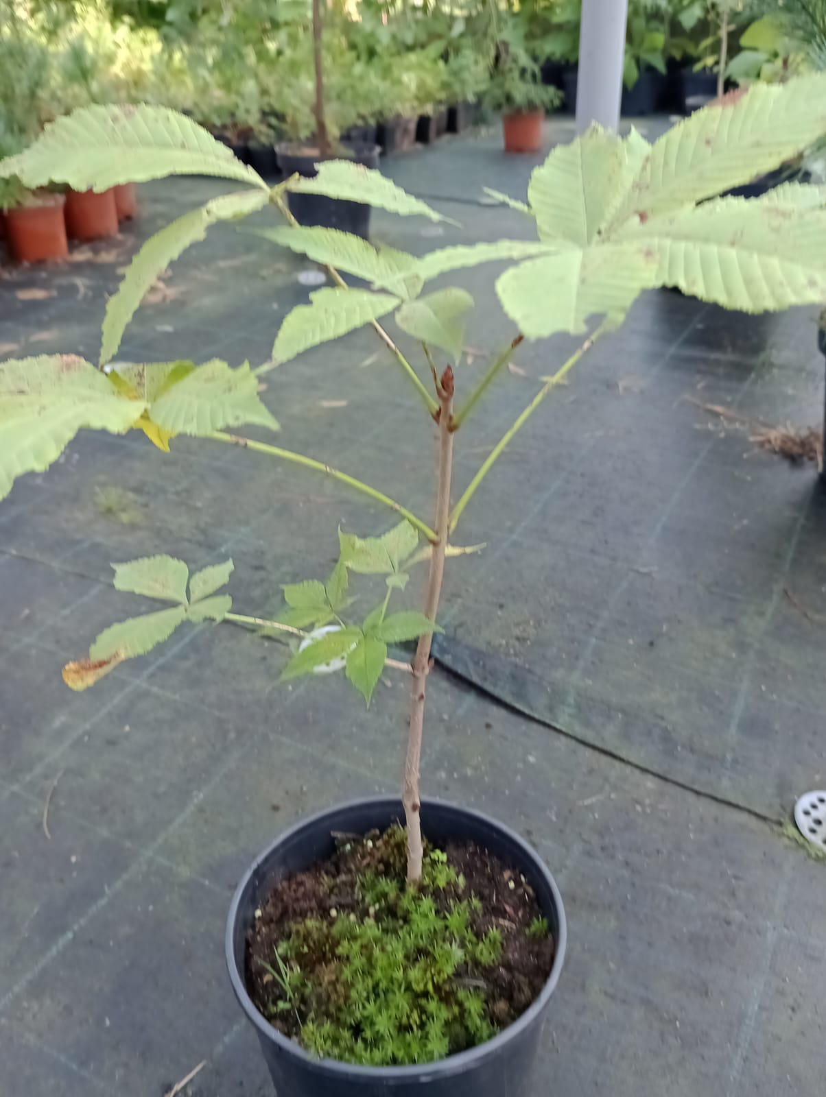 8e1ed571-ffb3-45dd-8a17-e7ad4db6da3d