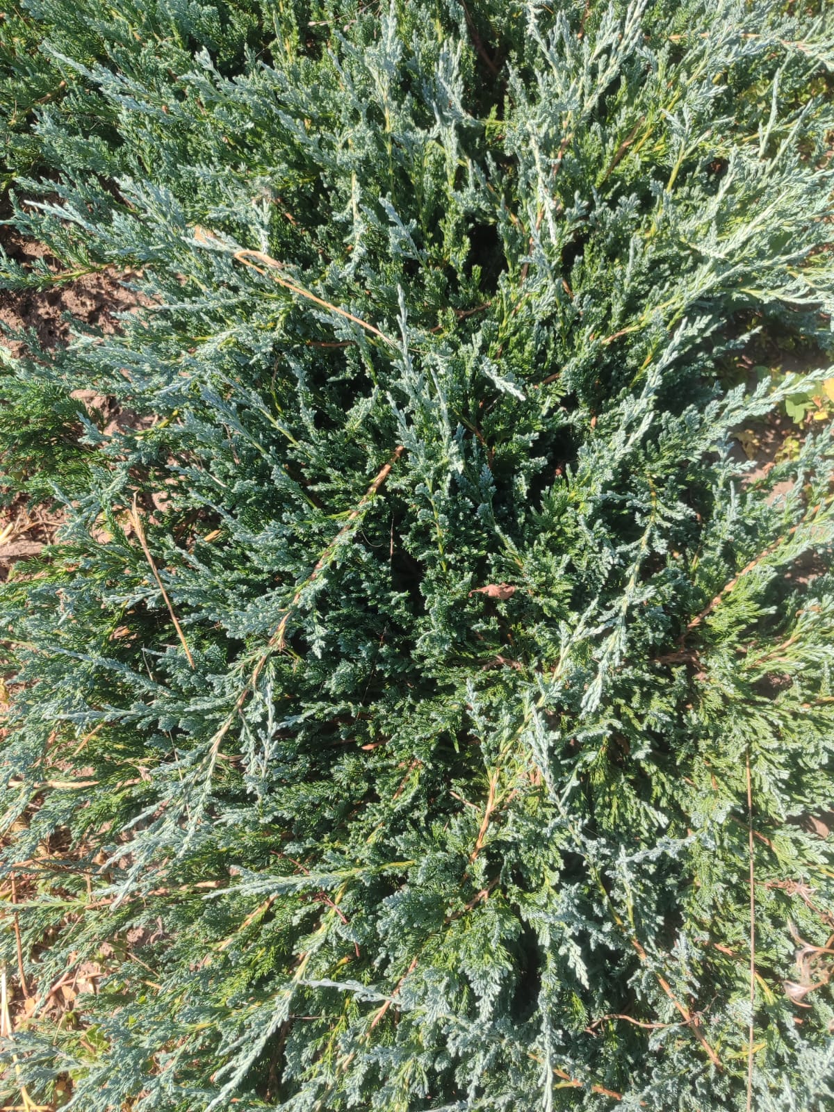 9c9f8583-0ff3-4939-9a24-a06e9f7a19d0