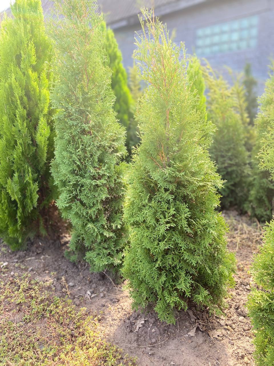 IMG_20240830_101405_086