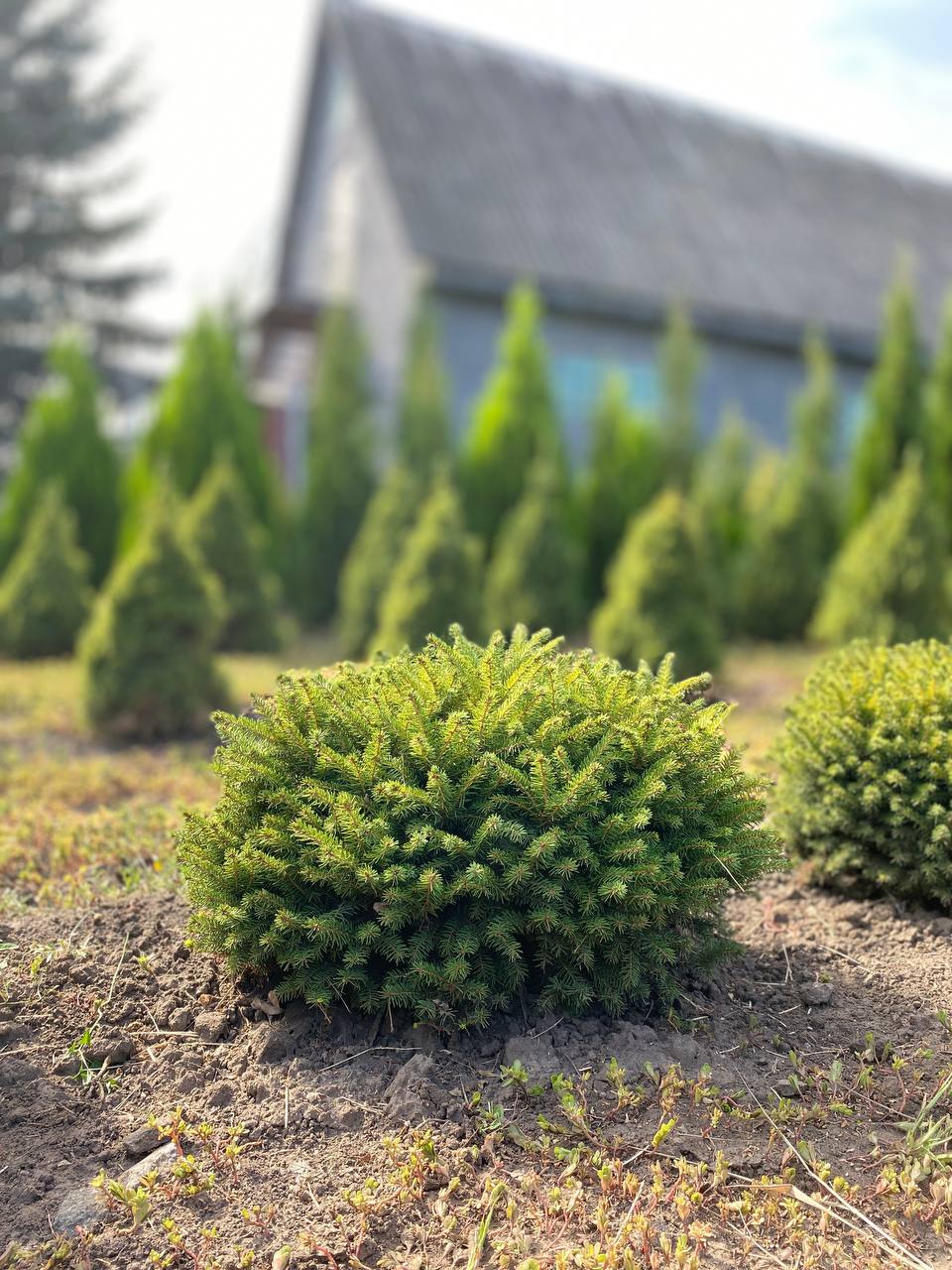 IMG_20240830_101416_786