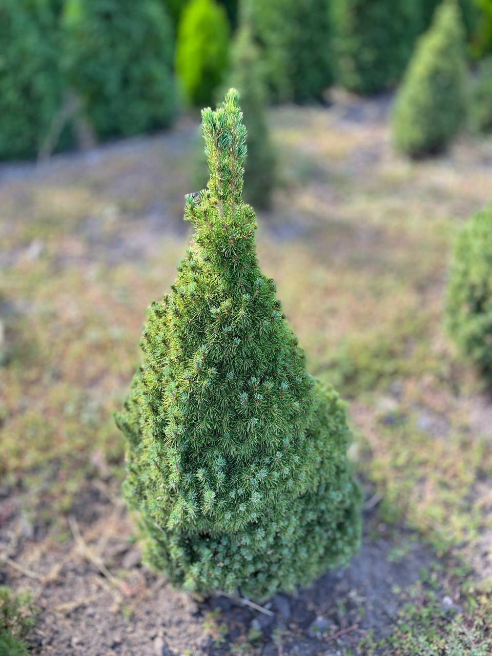 IMG_20240830_101416_921