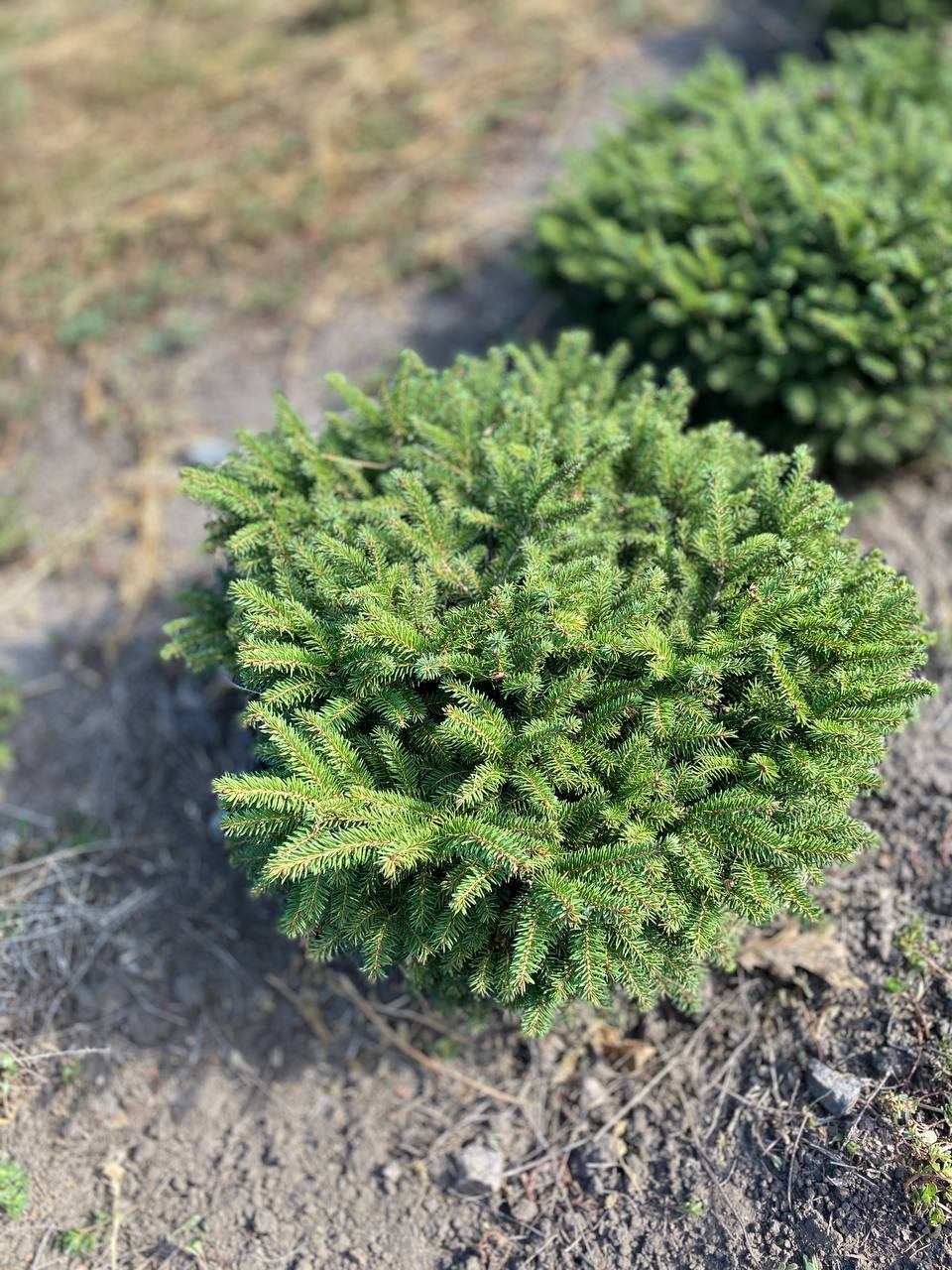 IMG_20240830_101417_248