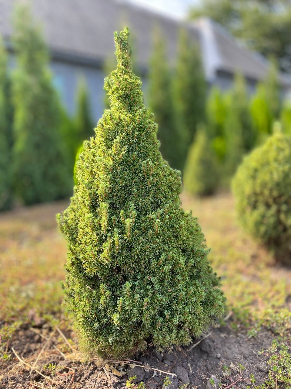 IMG_20240830_101417_591