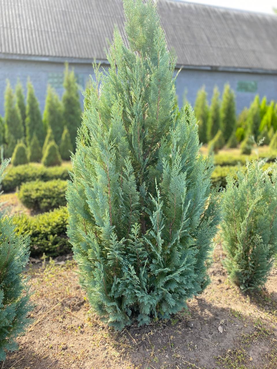 IMG_20240830_101428_997