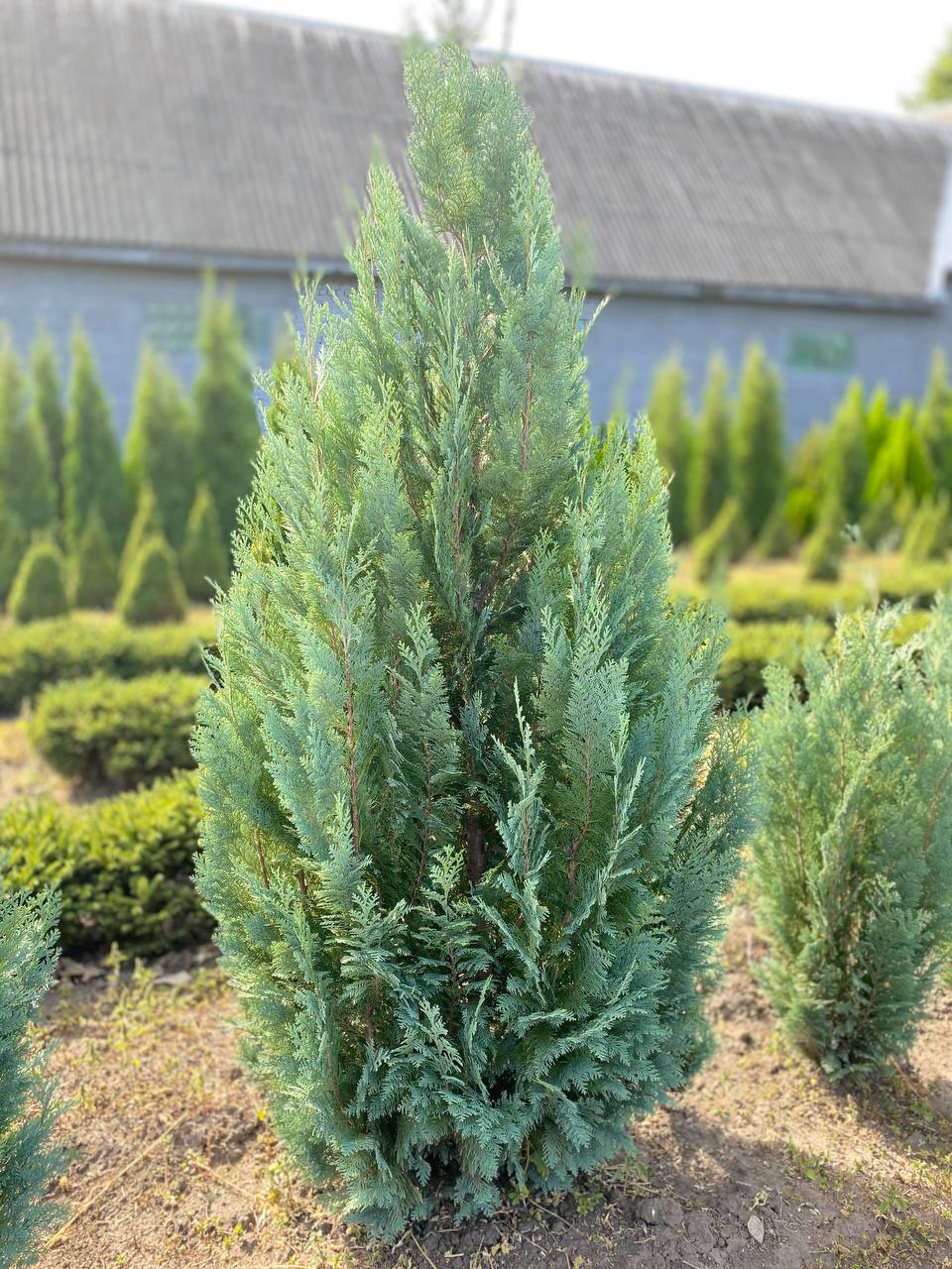 IMG_20240830_101429_407