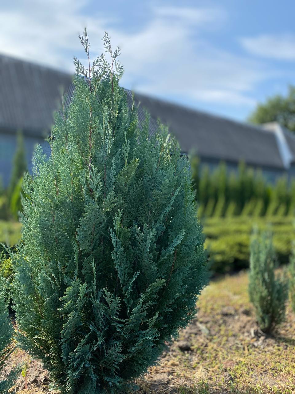 IMG_20240830_101429_470