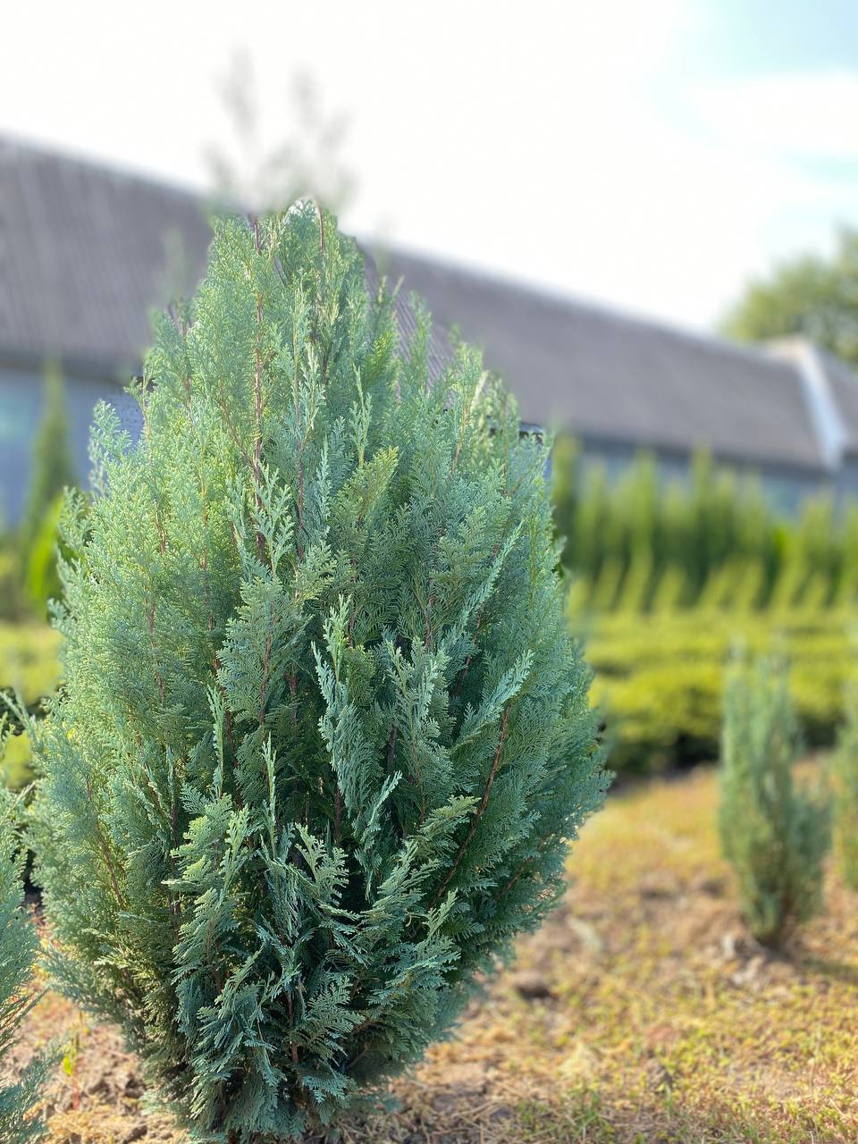 IMG_20240830_101429_768