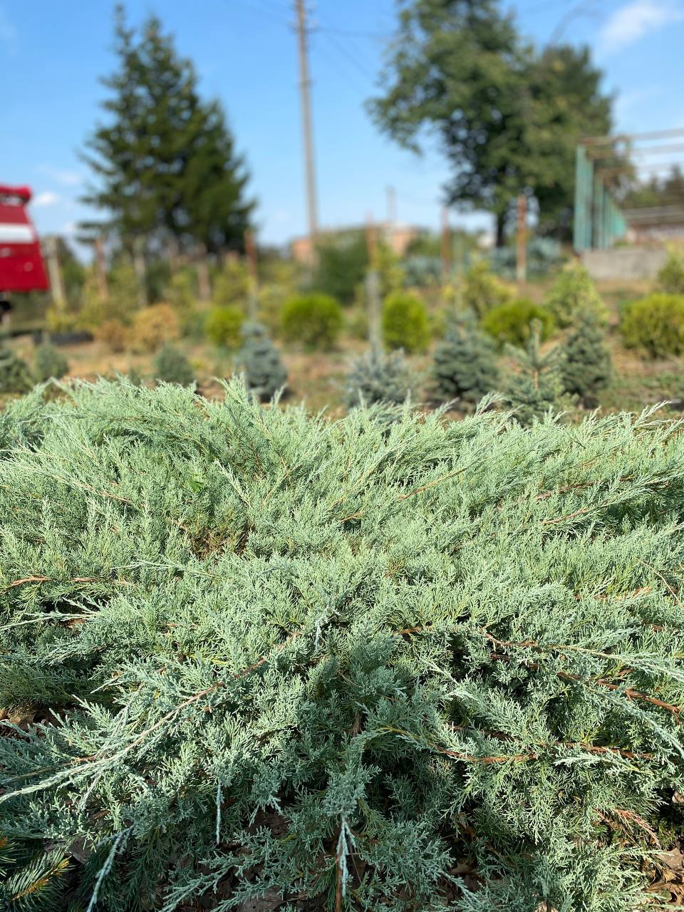 IMG_20240830_101500_410