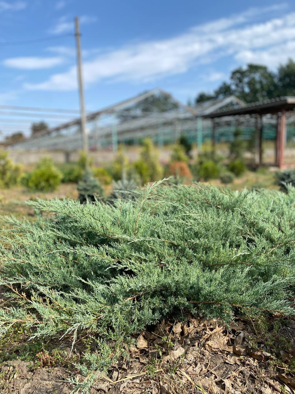 IMG_20240830_101500_714