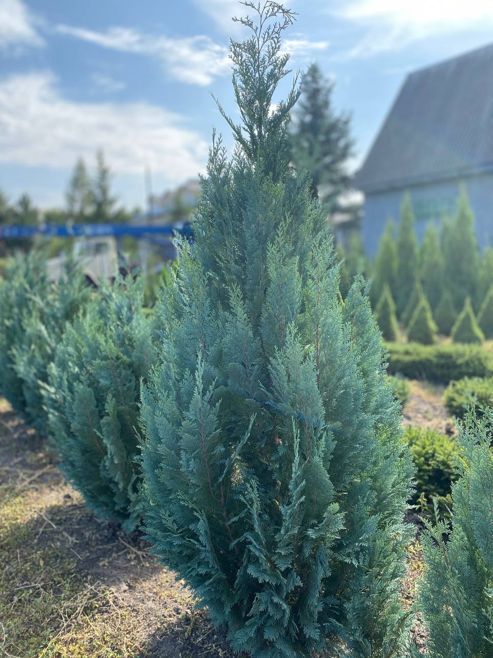 IMG_20240830_101508_816