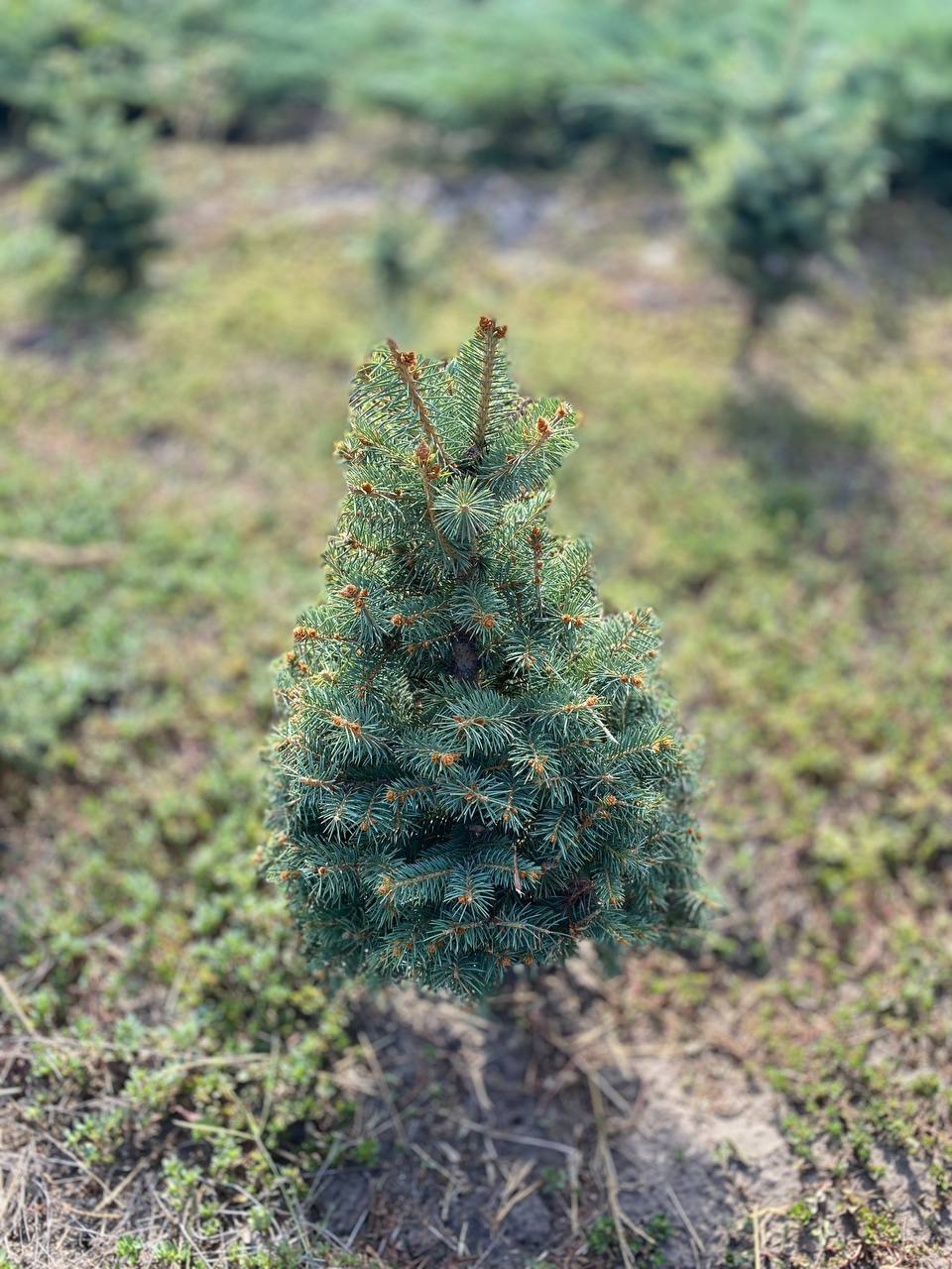 IMG_20240830_101526_399