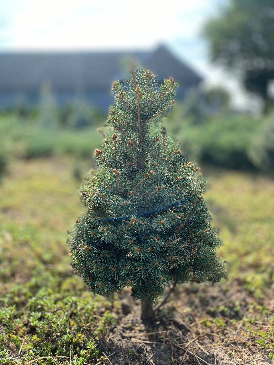 IMG_20240830_101526_803