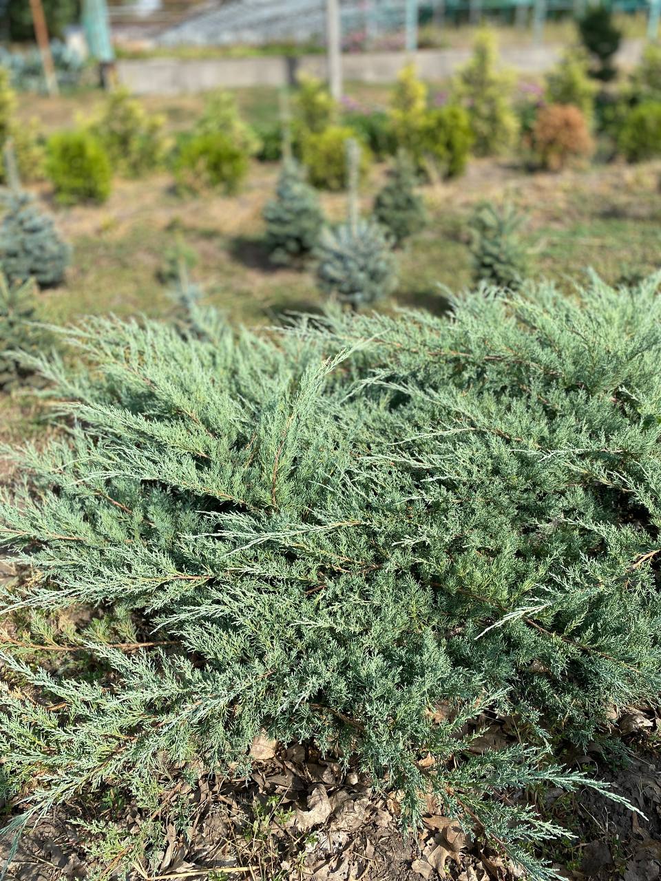 IMG_20240830_101535_488