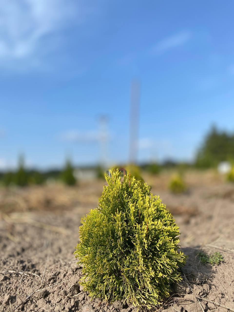 IMG_20240830_101601_622