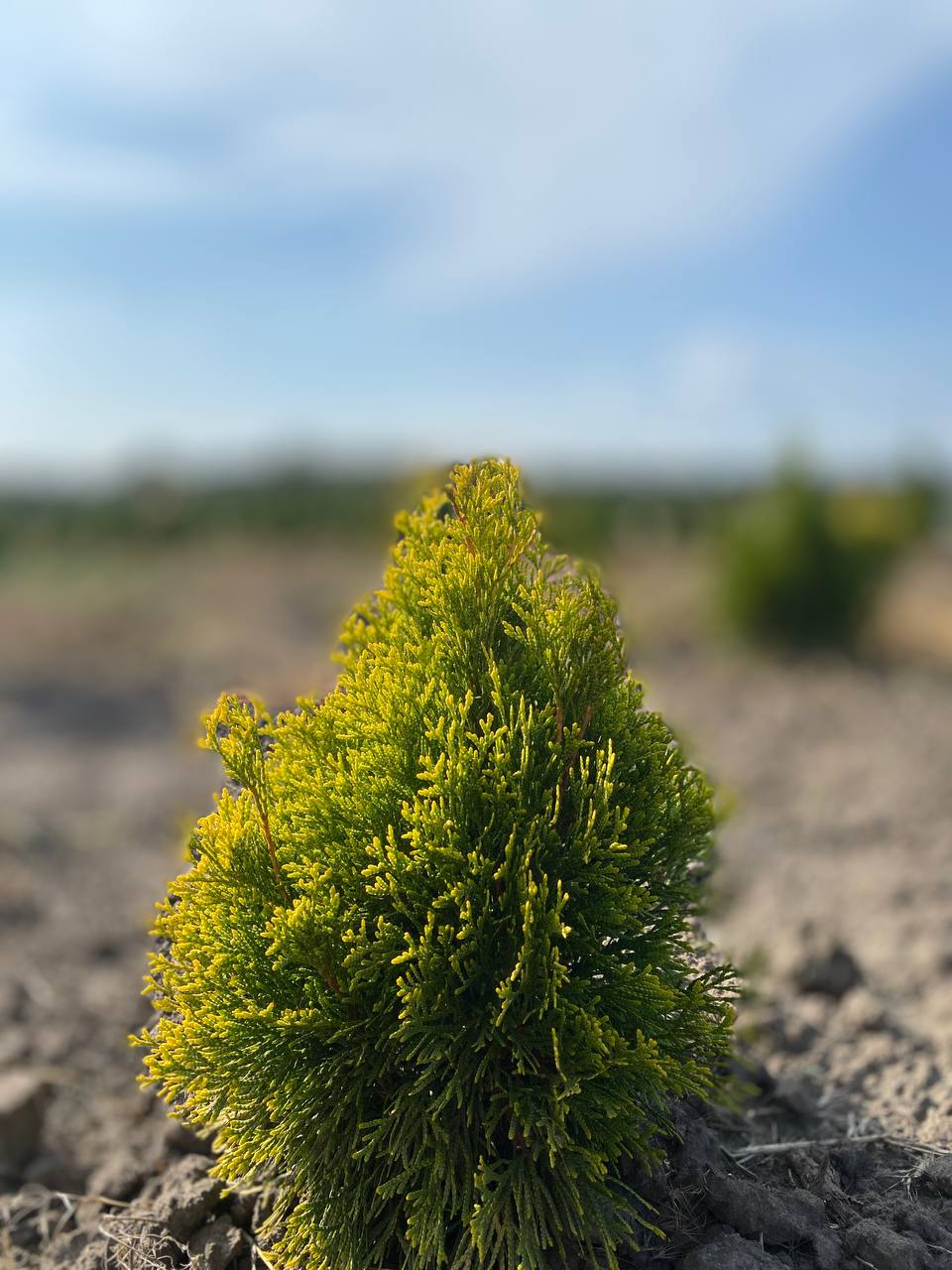 IMG_20240830_101601_773