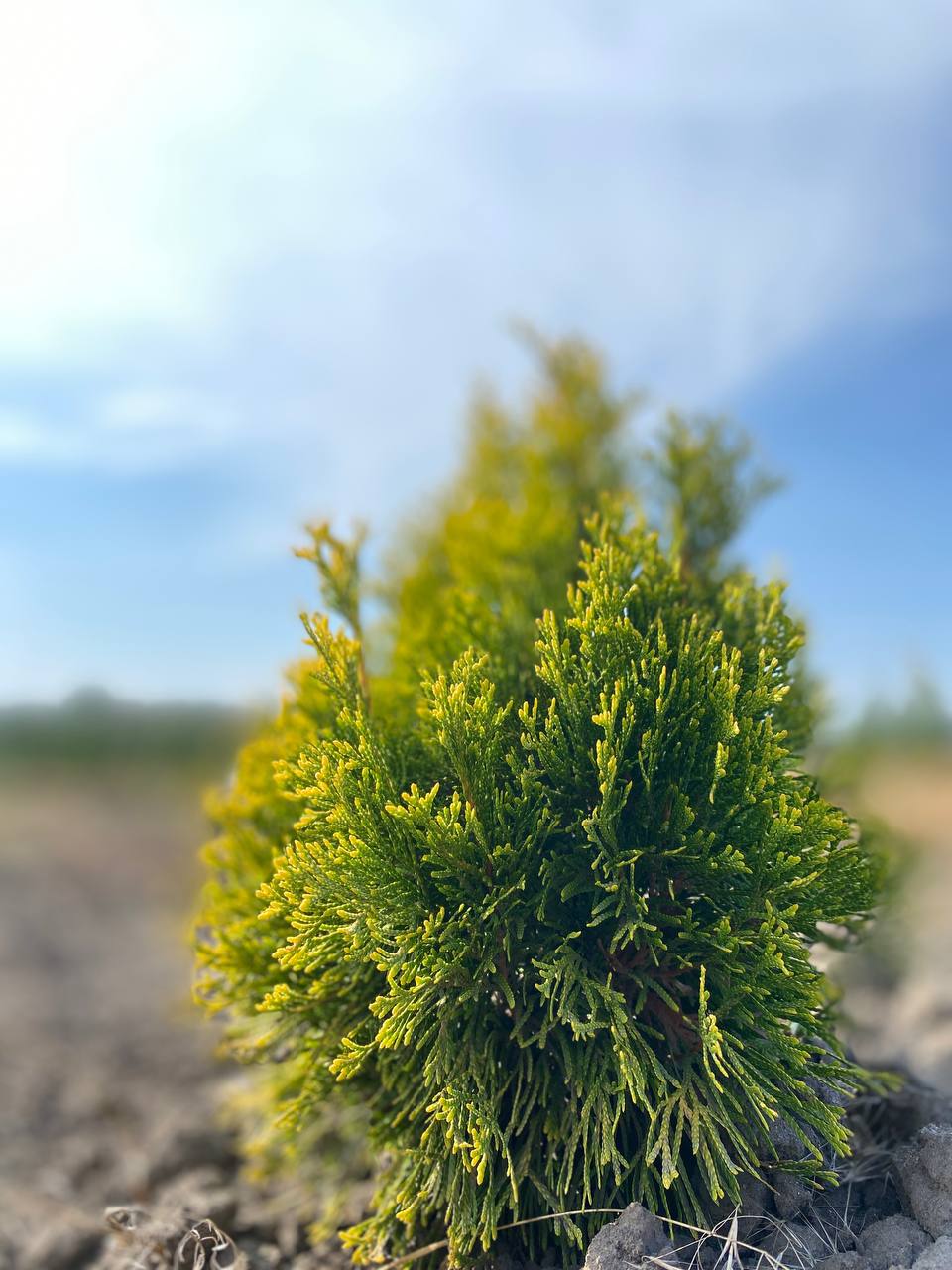 IMG_20240830_101601_972