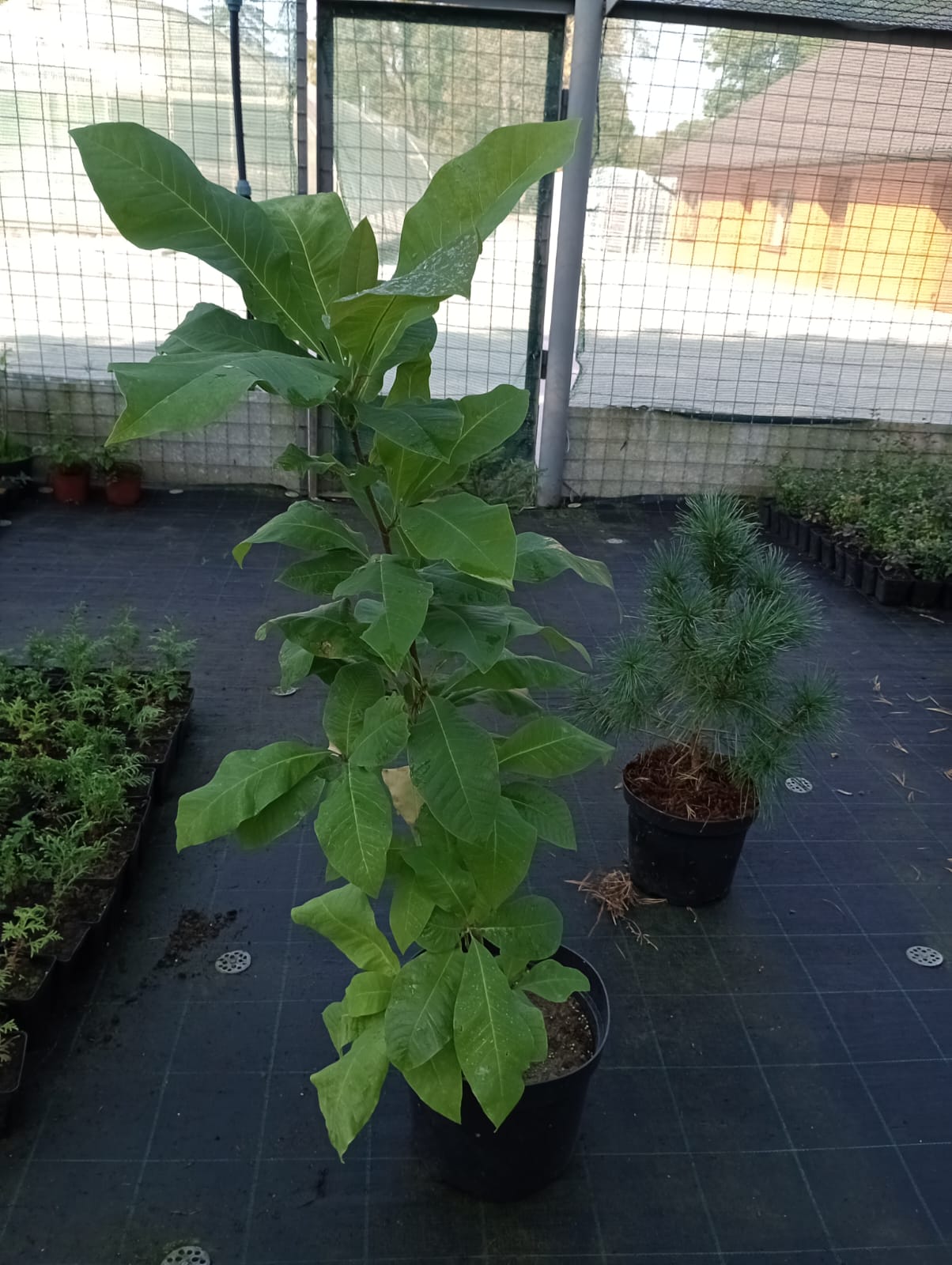 a7e5472d-cf0a-4fb2-905d-e5024e46159e