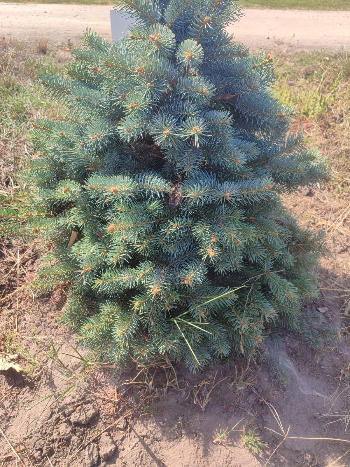 bd4a92c7-be3d-428a-8860-d05f064d7e4b