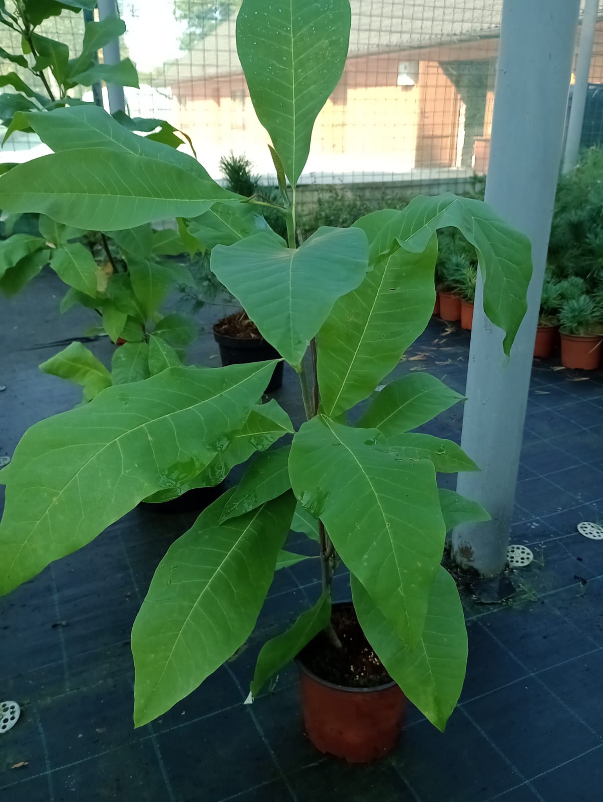 e07c64f4-3d16-4baa-a972-feaf91a10e01