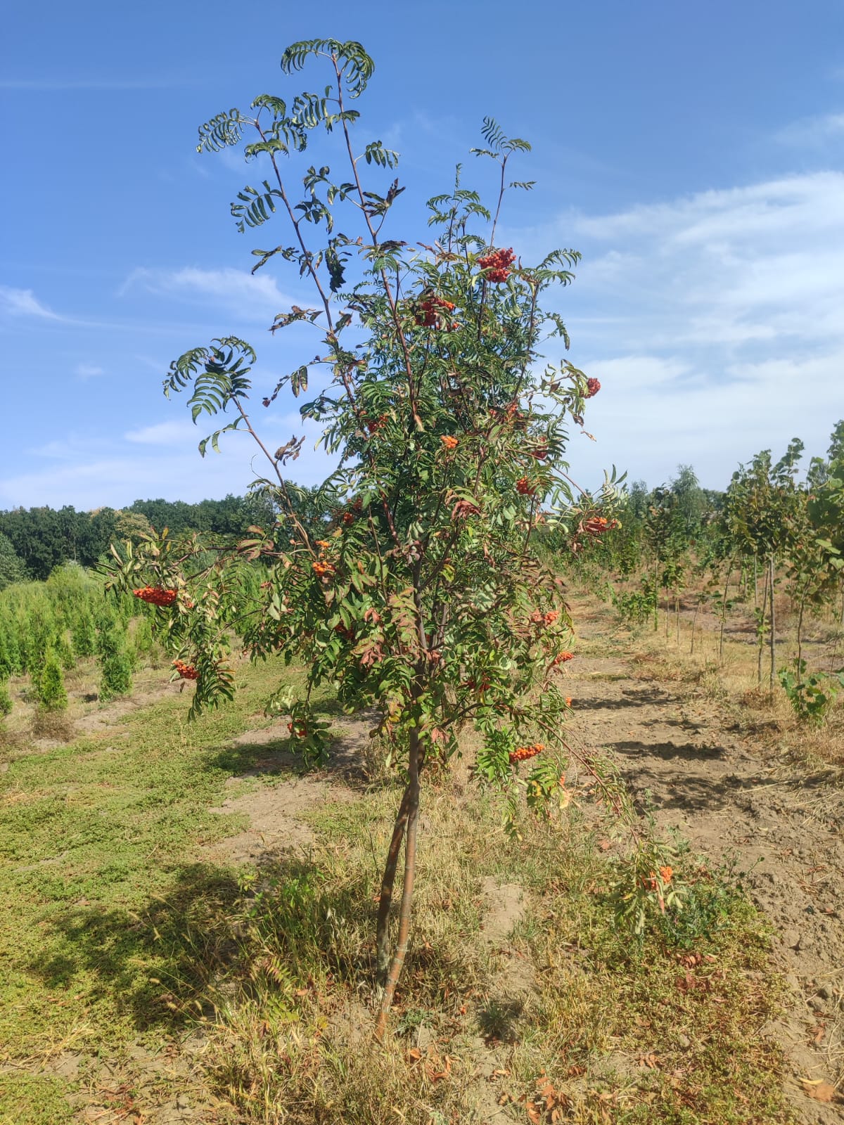 ee603caf-108a-4da5-b9d4-6eafbf0dbfc1